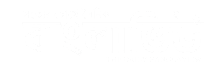 dainikbanglaview.com